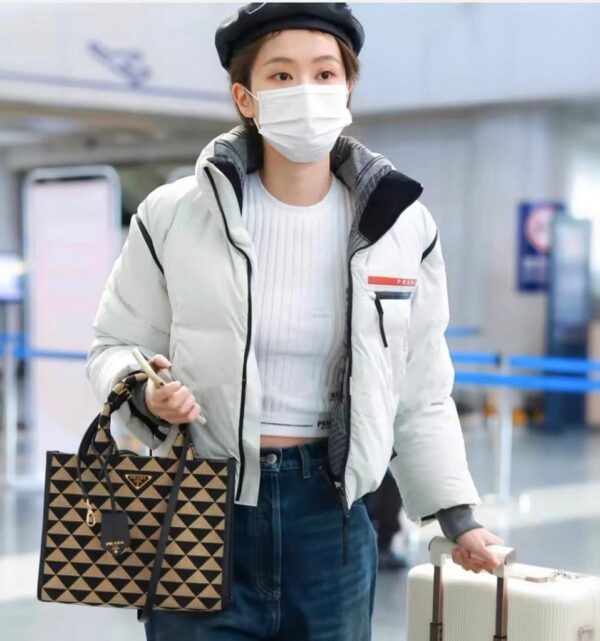 Prada Bag