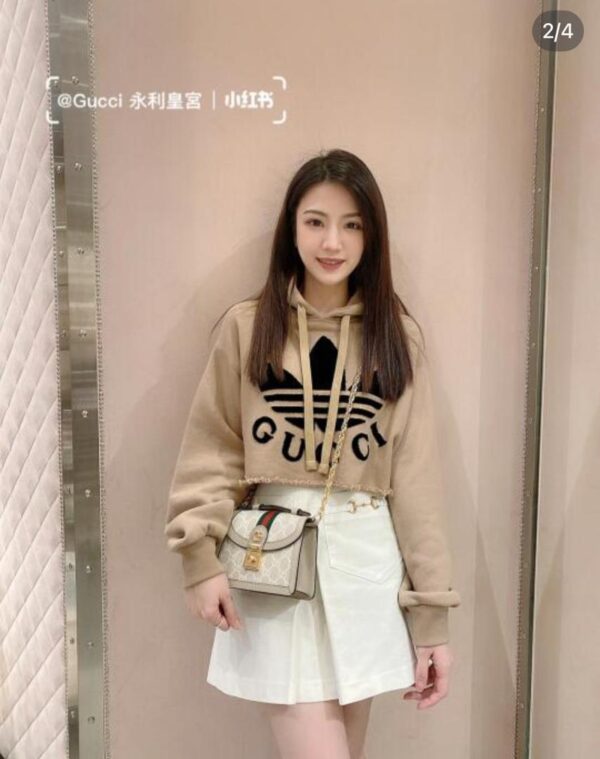 Gucci Bag