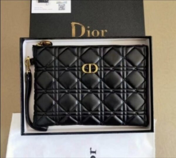 Dior Pouch