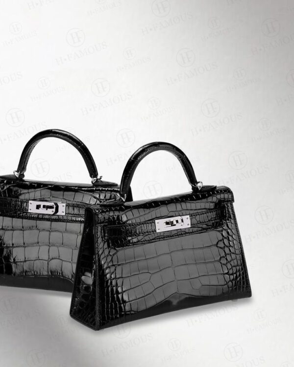 Hermes Bag