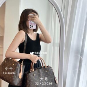 Louis Vuitton Bag