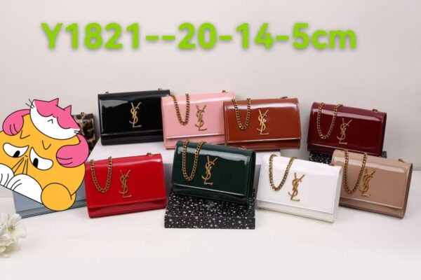 YSL Bag